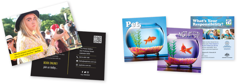 Have Color on Demand print your postcards
