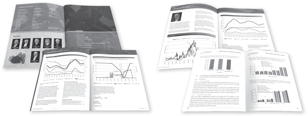 Black & white printed reports are professionally finished at Color On Demand