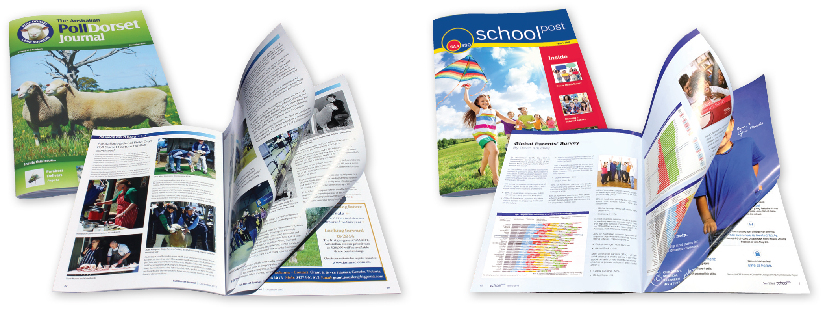 Showcase your business with printed catalogues from Color on Demand